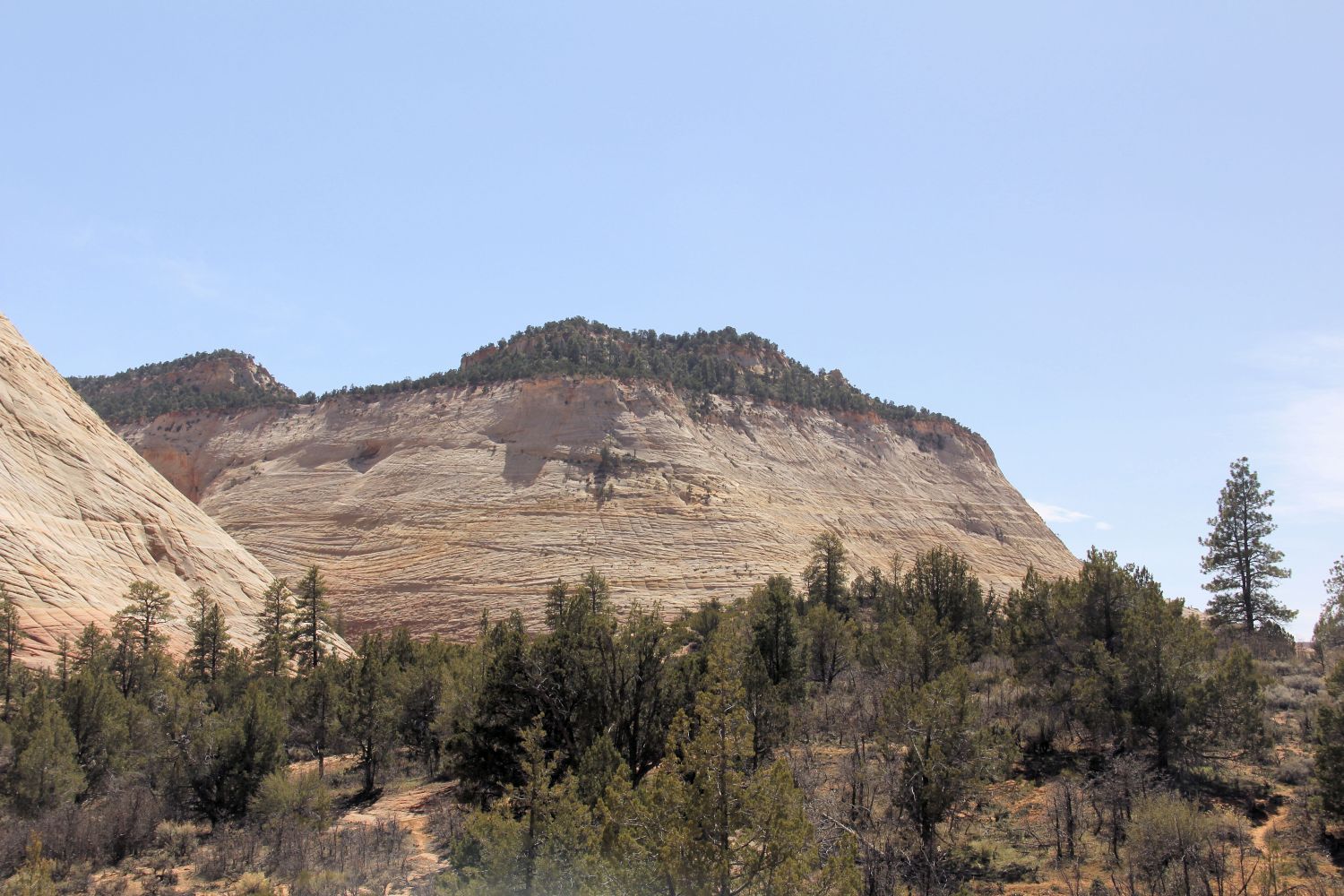 Mount Carmel Highway 